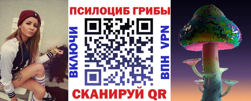 Галлюциногенные грибы прущие грибы  ОМГ ОМГ tor  Новотитаровская  где купить наркотик 